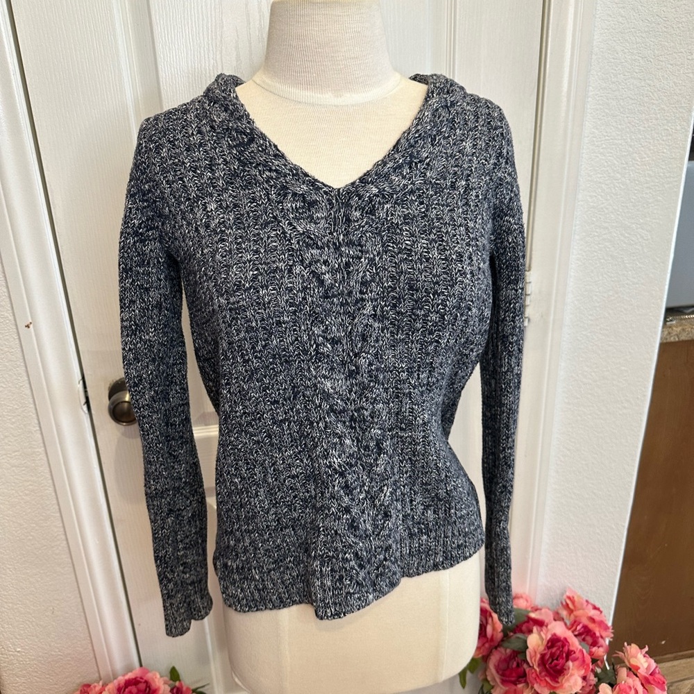 Banana Republic Blue Sweater